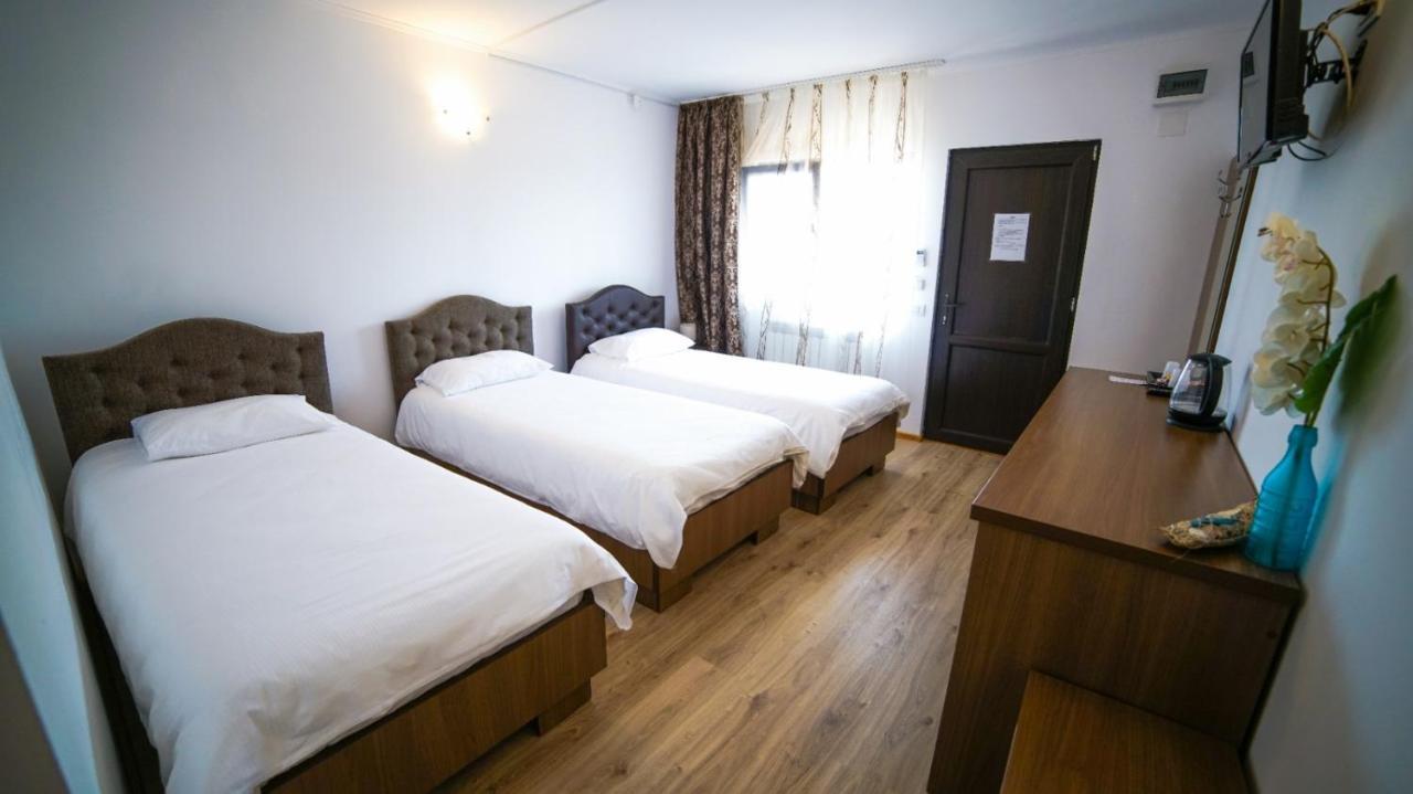 Vila Natalia Vama Veche Zewnętrze zdjęcie